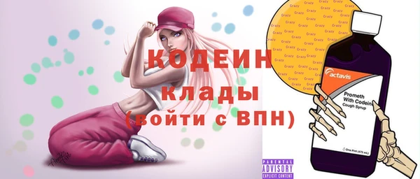 МДПВ Инсар
