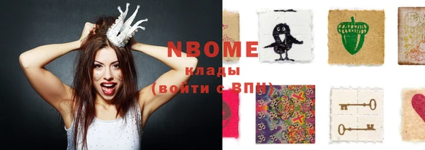 индика Инта