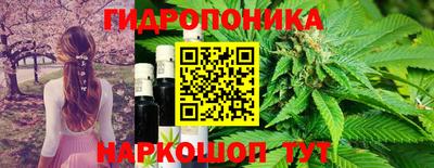 МДМА Канаш