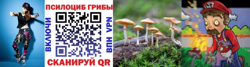 Псилоцибиновые грибы Psilocybine cubensis Унеча