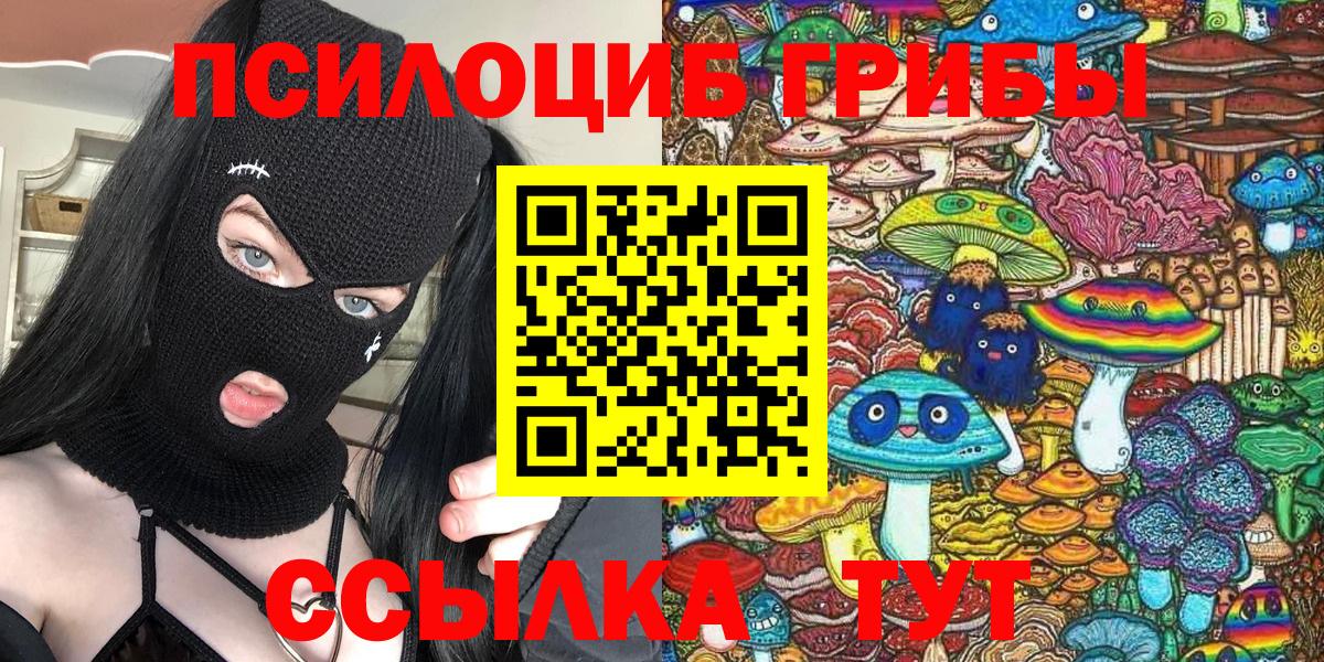 Псилоцибиновые грибы Psilocybe Унеча