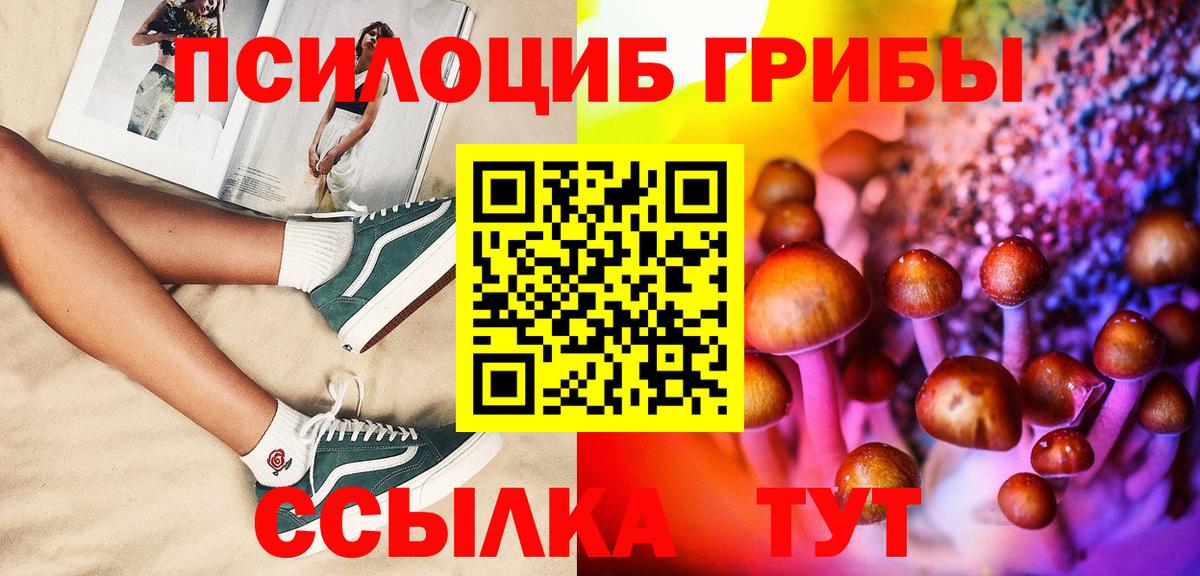 Галлюциногенные грибы Psilocybe  закладки  Унеча  Вход с VPN 